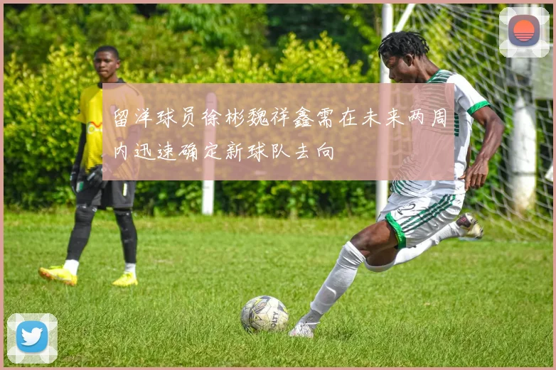 留洋球员徐彬魏祥鑫需在未来两周内迅速确定新球队去向