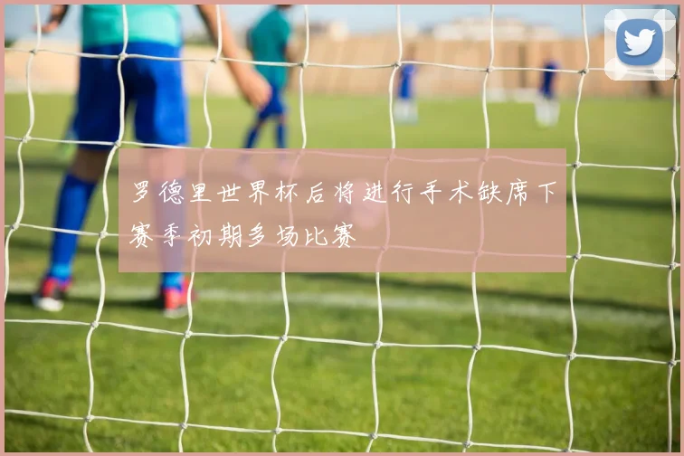 罗德里世界杯后将进行手术缺席下赛季初期多场比赛