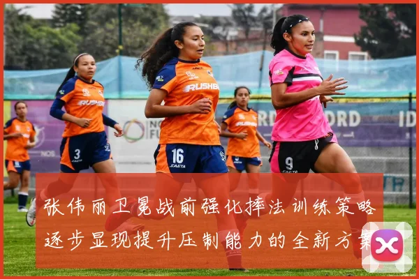 张伟丽卫冕战前强化摔法训练策略逐步显现提升压制能力的全新方案